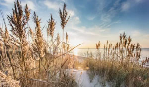 sonnenaufgang ostsee