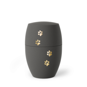 Biourne Infinity Patas